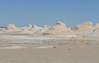 alexandria bibliotheque